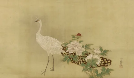 Pavo real blanco y peonías, período Edo, mediados del siglo XVII-principios del siglo XVIII